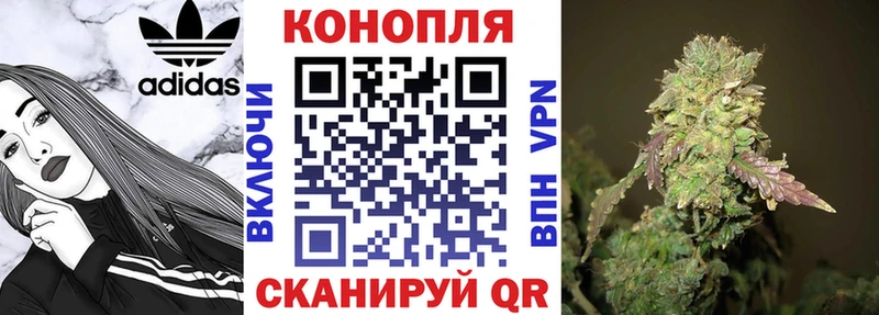 Виды наркотиков купить Пионерский Марихуана Мефедрон
