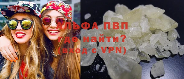дмт Белокуриха