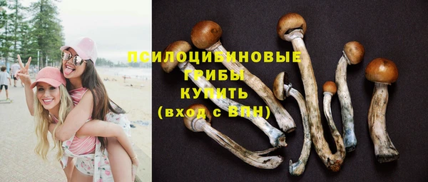 героин Богородицк