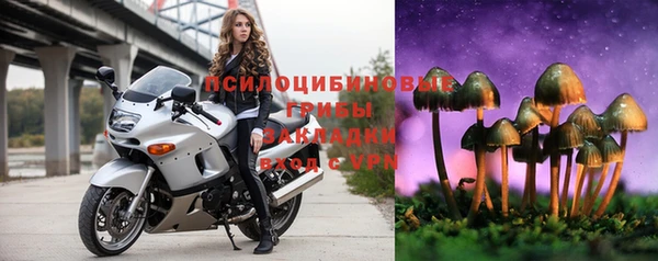 дмт Белокуриха